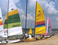 sailboats
